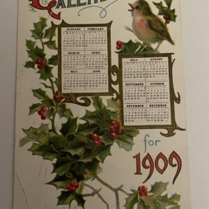 Bird Calendar For 1909 Postcard