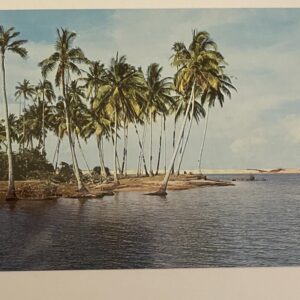 Bedock Beach Singapore Postcard