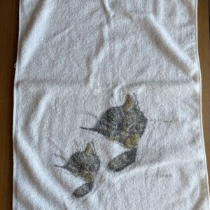 Chessie The Cat Hand Towel Railway Train Cat Chesapeake And Ohio Railroad Cat