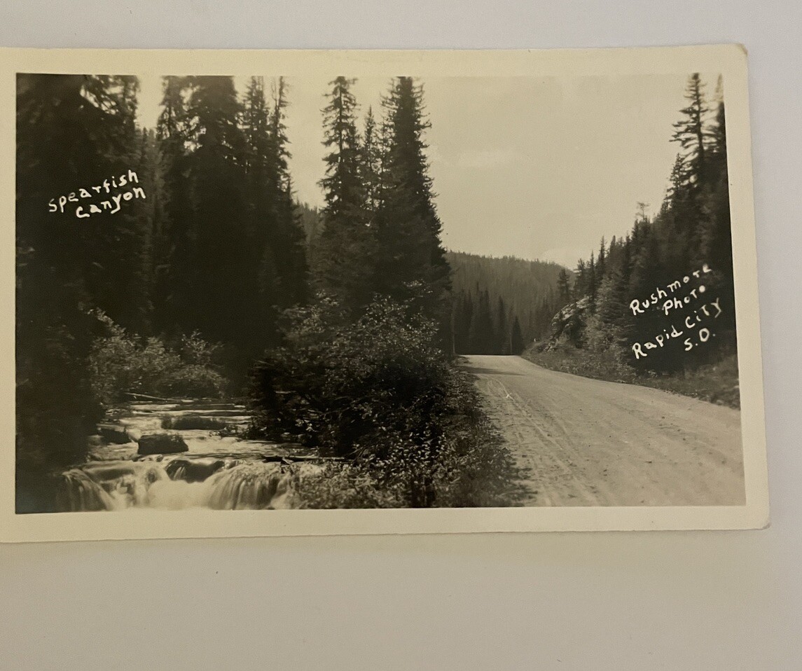 Spearfish Canyon Rapid City South Dakota Postcard RPPC