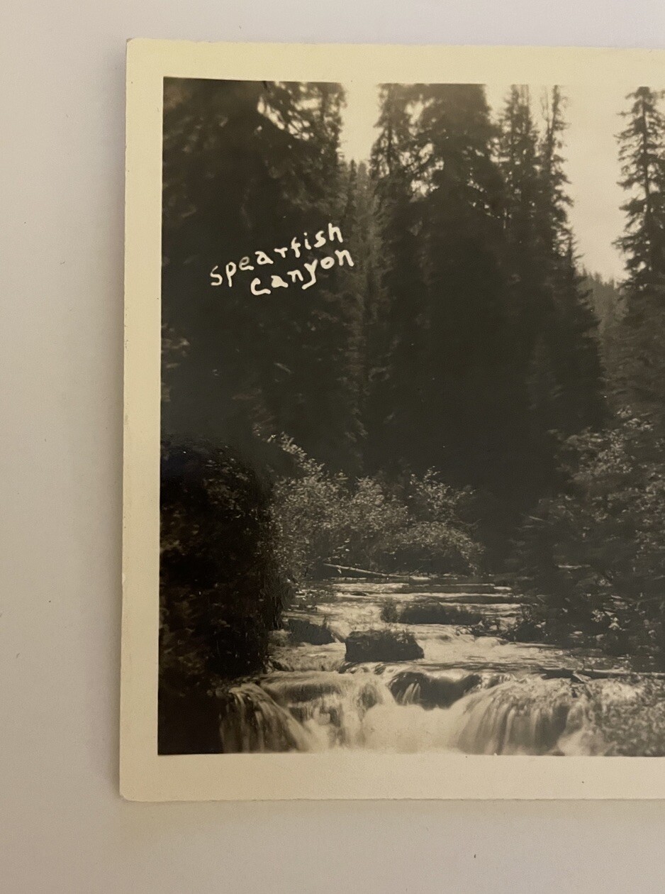 Spearfish Canyon Rapid City South Dakota Postcard RPPC - Image 2