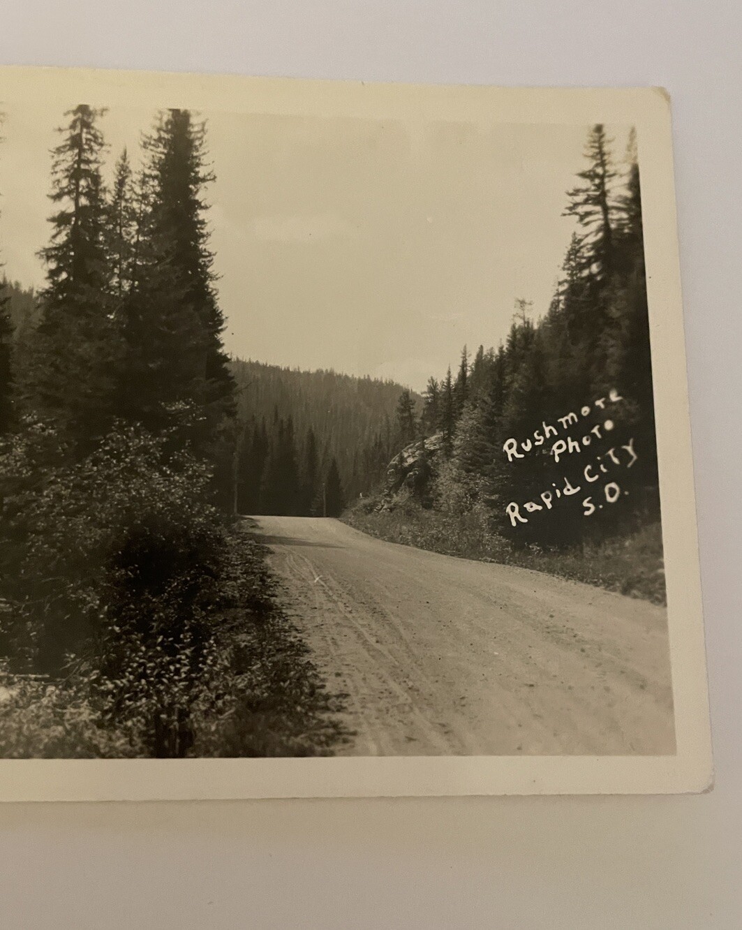 Spearfish Canyon Rapid City South Dakota Postcard RPPC - Image 3