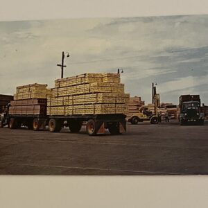 Trucks Loading At Union Lumber Company Fort Bragg California Postcard