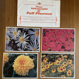 Four Lithographs Of Fall Flowers Art Print Art Work