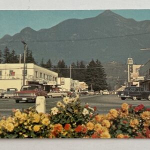 8c00f696bedcfaf3c5946876e6968bde