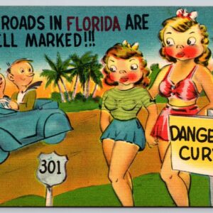 The Roads In Florida Are Well Marked Dangerous Curves Sexy Girls Postcard