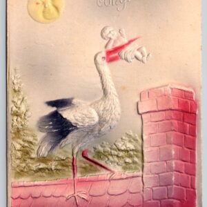 Hearty Congratulations Stork With Baby Postcard