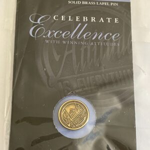 Attitude Is Everything Pin