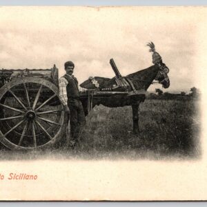 Caretto Siciliano Horse Drawn Wagon Italy Postcard