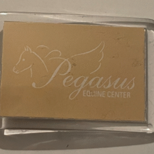Pegasus Equine Center Keychain Key Chain