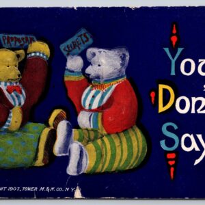 You Don't Say Teddy Bear Postcard Copyright 1907 Tower M & N Co NY