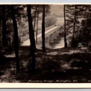 Moonshine Bridge Wellington New Zealand Postcard