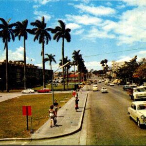Paseo Colon San Jose Costa Rica Postcard