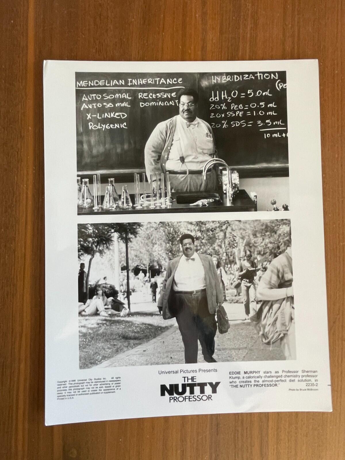 Eddie Murphy Photo Nutty Professor Movie Photo