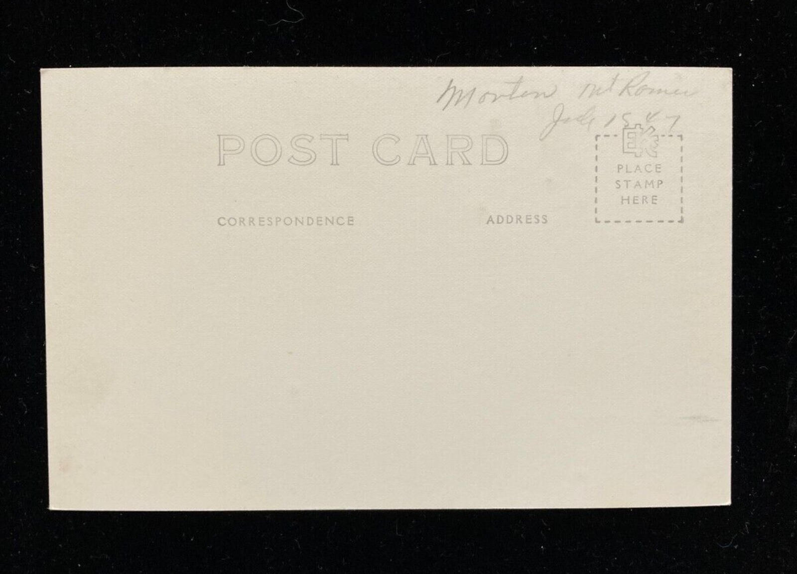 9 Foot Cedar Western Washington RPPC Postcard Ellis Unposted - Image 2