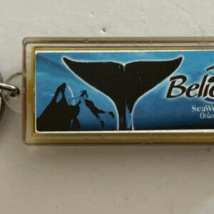 Believe Sea World Orlando Florida Keychain Key Chain Donna Keychain