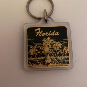 Florida Palm Trees Key Chain Keychain