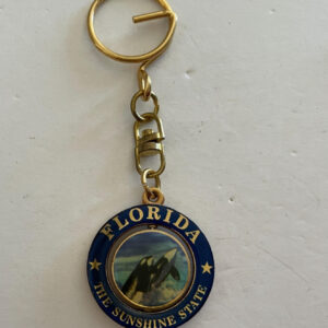 Florida The Sunshine State Spinner Keychain Key Chain