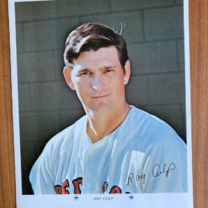 Arco Ray Culp Boston Red Sox Baseball Photo 1971