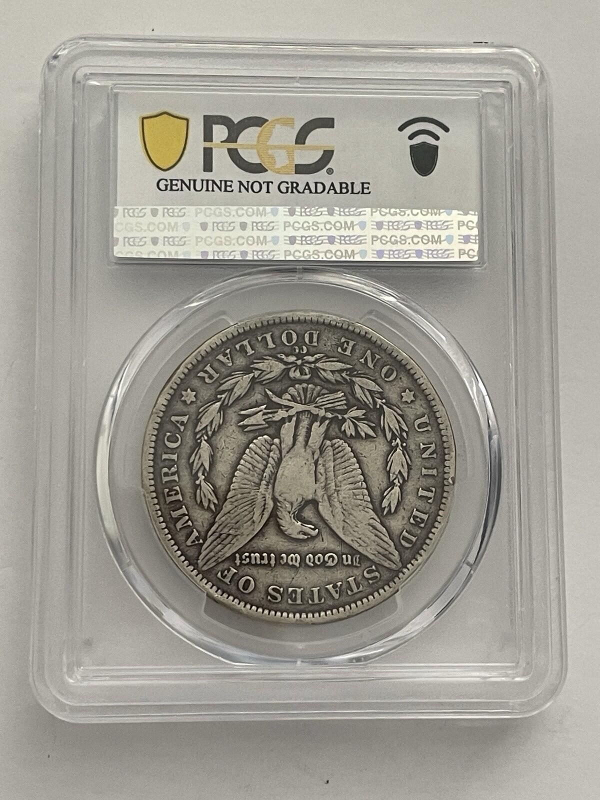 1891 CC Morgan Silver Dollar $1 PCGS Genuine Rim Damage F Detail Graded Coin - Image 5