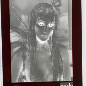 Cher Photo Hollywood Star Singer Cher Film Photo Negative