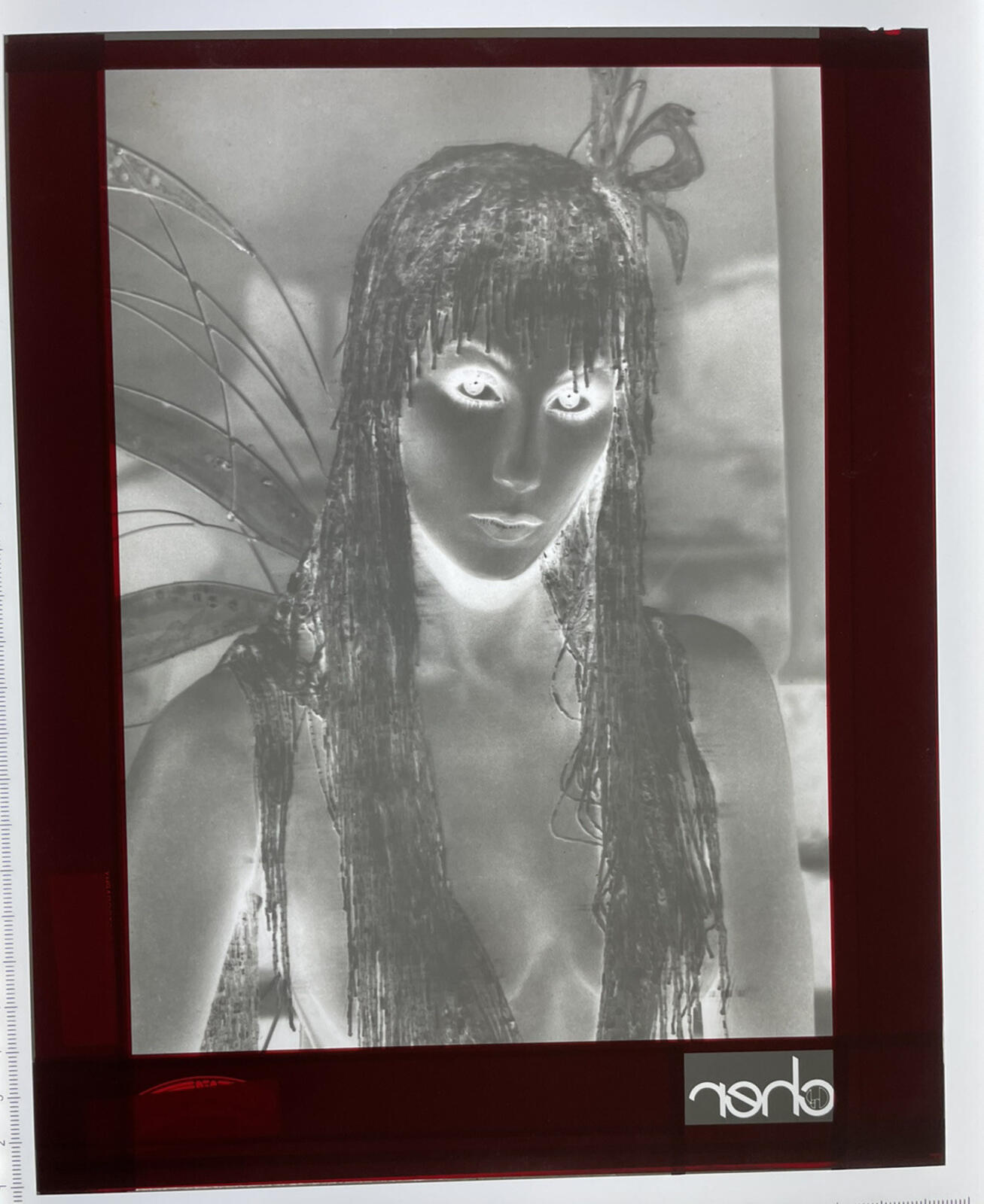 Cher Photo Hollywood Star Singer Cher Film Photo Negative