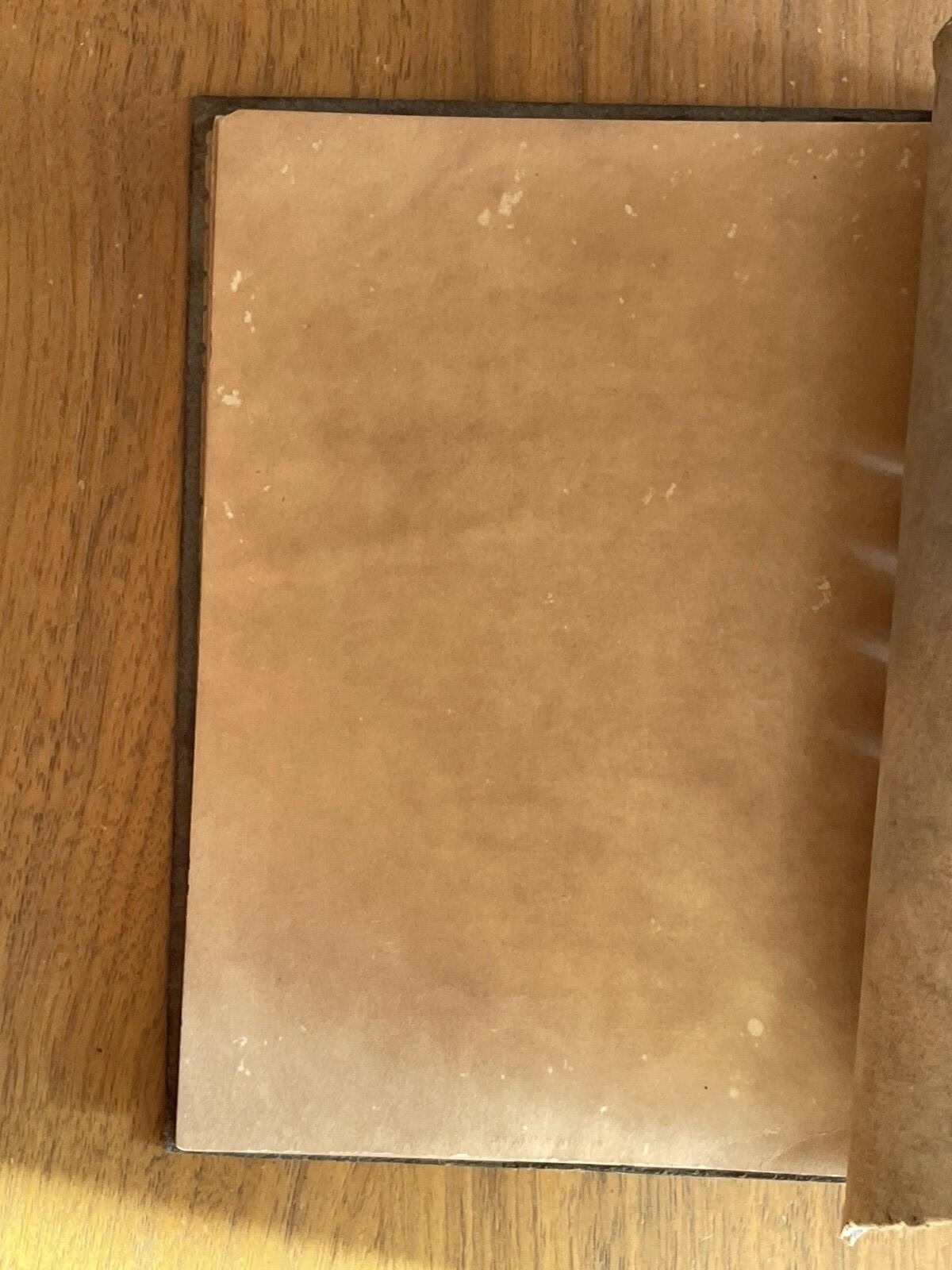 1921 Iowa State Teachers College Commencement Exercises Leather Bound - Image 8