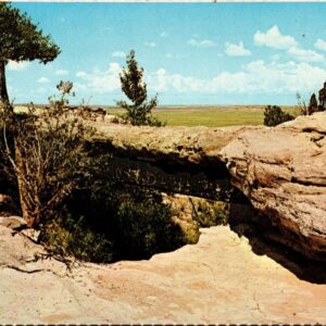 Agate Bridge Petrified Forest National Monument Arizona Postcard