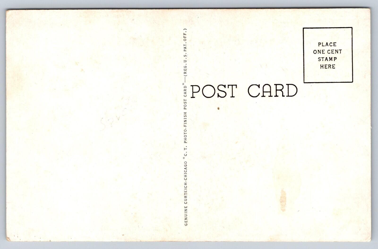 Airplane View Of De Ridder LA Postcard Louisiana Postcard - Image 2