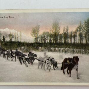 Alaska Dog Team Postcard