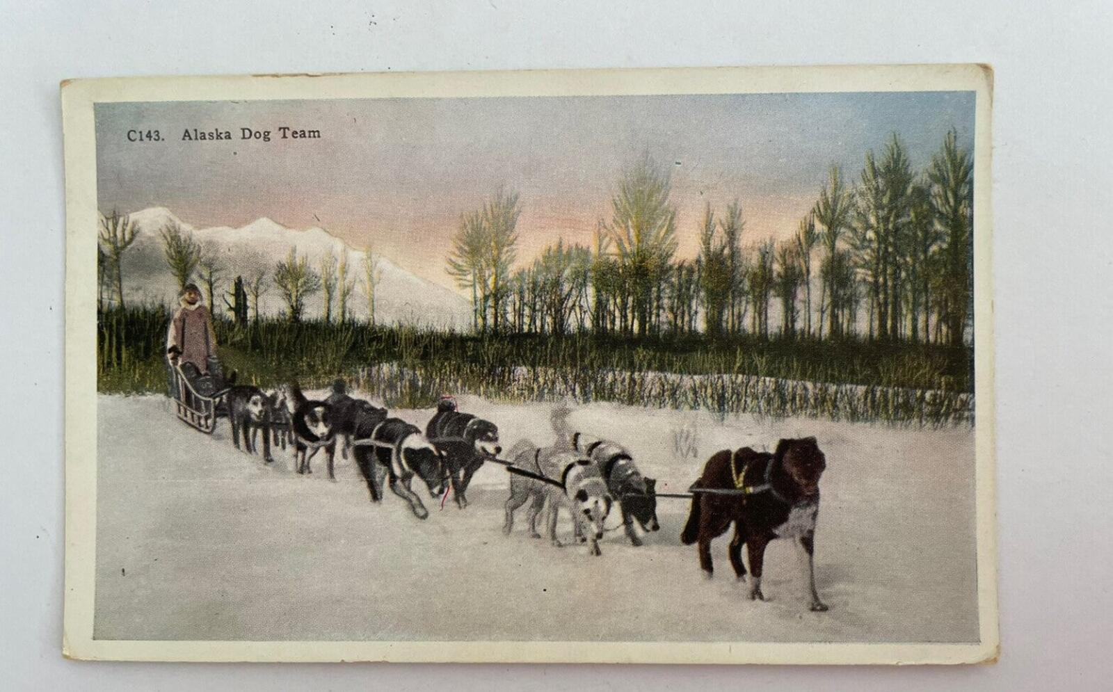 Alaska Dog Team Postcard