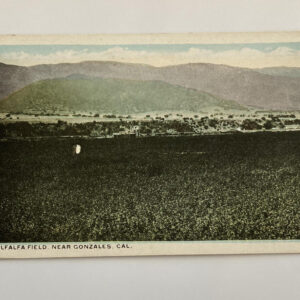 Alfalfa Fields Near Gonzales California Postcard Unposted