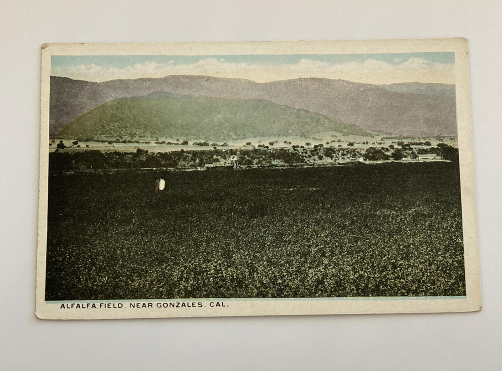 Alfalfa Fields Near Gonzales California Postcard Unposted