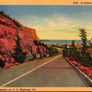 Along The Palisades On U.S. Highway 101 California Postcard Unposted