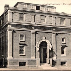 Anatomical Laboratory University Of Minnesota Postcard Unposted