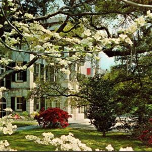 Ashley Hall Charleston South Carolina Postcard Unposted