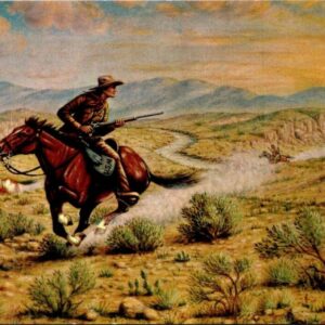B Bill Pony Express Rider In Buffalo Bill Memorial Museum Lookout Mt CO Postcard