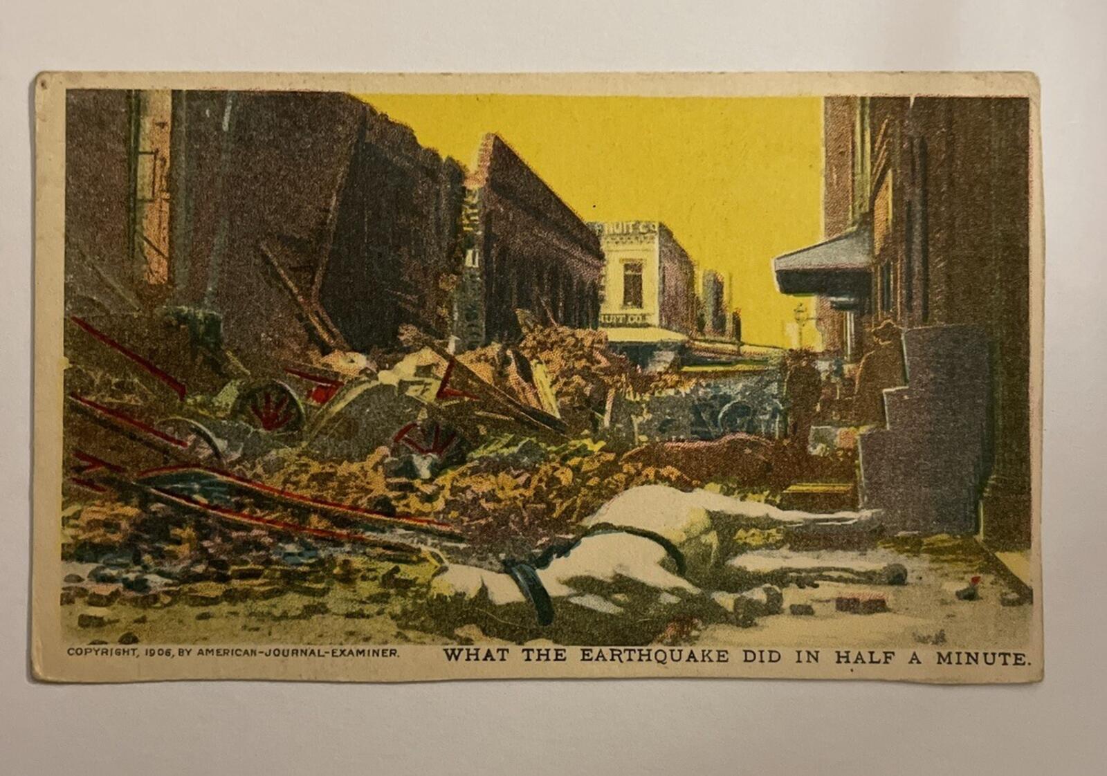 1906 San Francisco California Earthquake Disaster Dead Horse People Postcard