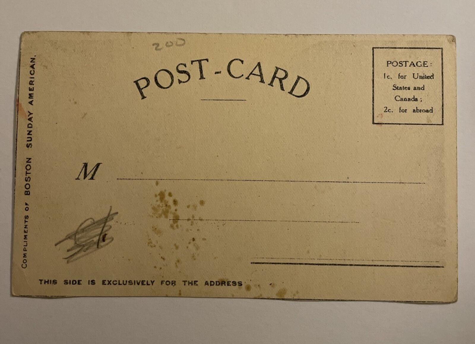 1906 San Francisco California Earthquake Disaster Dead Horse People Postcard - Image 4