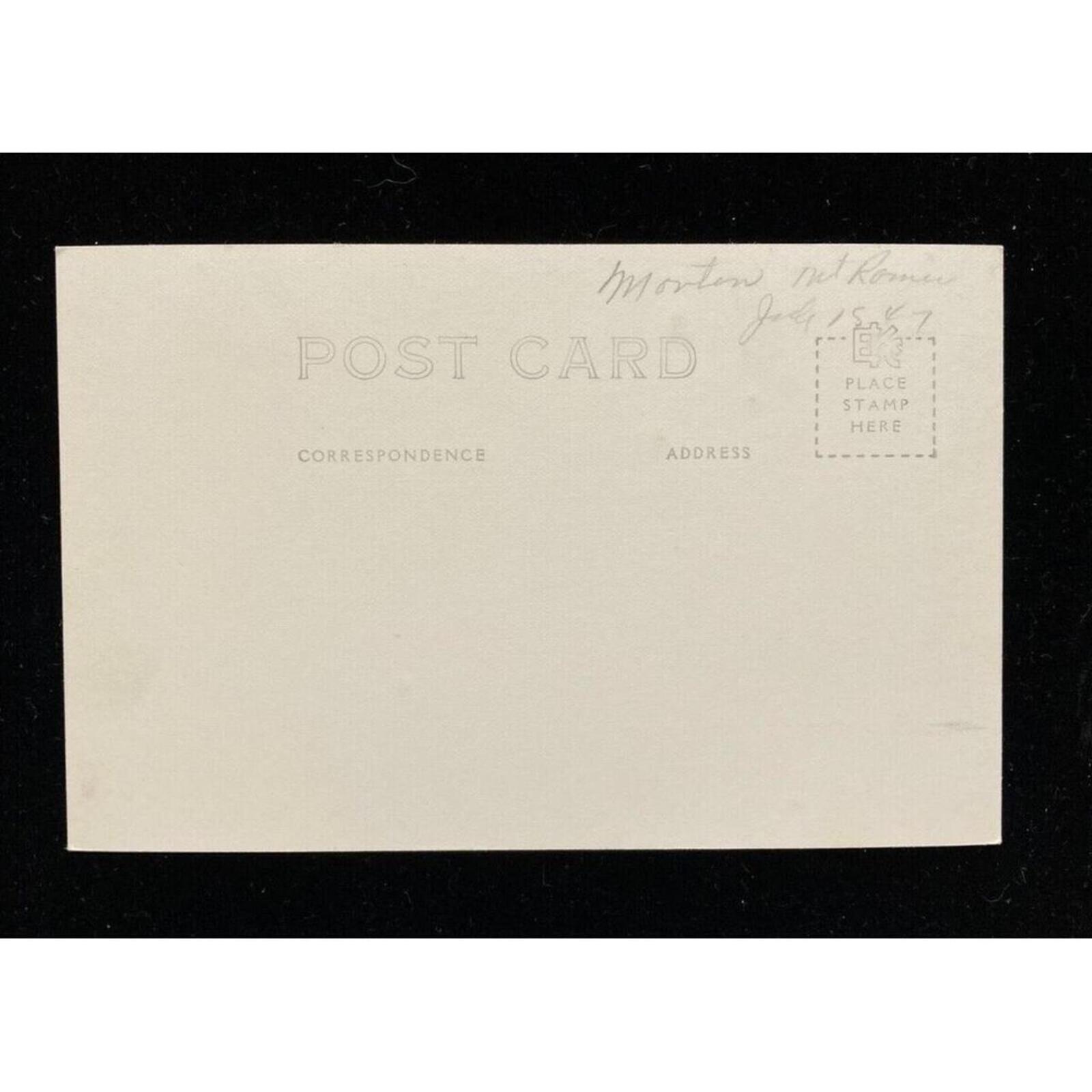 9 Foot Cedar Western Washington RPPC Postcard Ellis Unposted - Image 2
