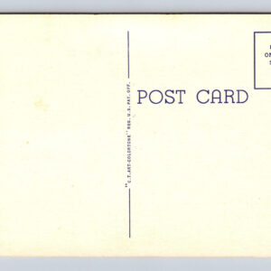 A Winter Scene On The Mojave Desert California Postcard