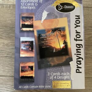 Divinity Praying For You Bible Greeting Cards Box Of 12 Cards With Envelopes