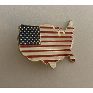 American Flag US Map Pin