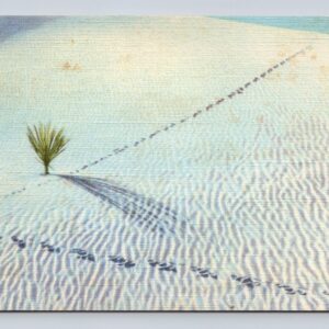 Ripples Of The White Sands National Monument New Mexico Postcard