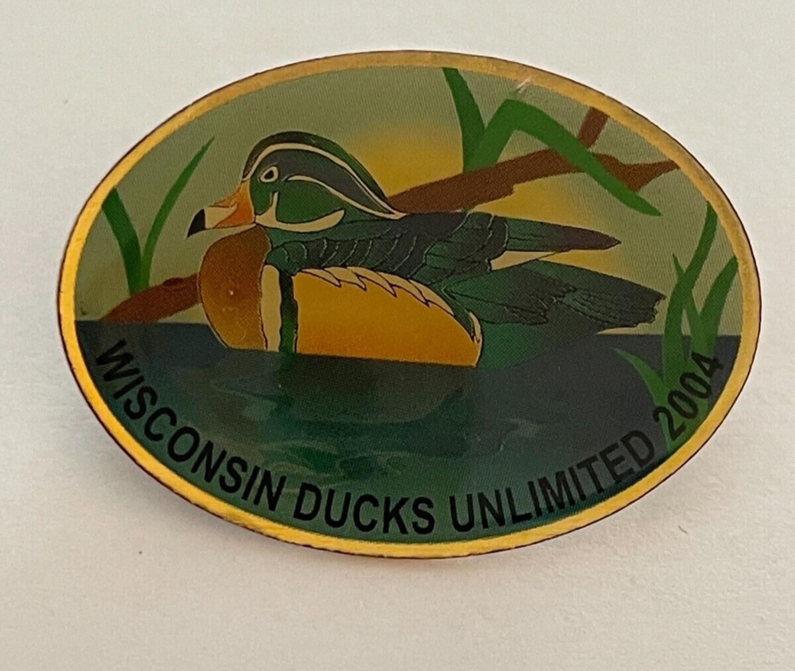 Ducks Unlimited DU Team Wisconsin State Pin 2004