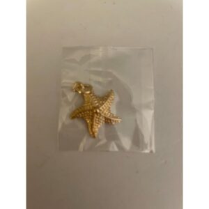 Starfish Pendant Charm