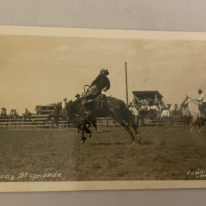 Cody Stampede Postcard Cowboy Rodeo Action Shot RPPC FJ Hiscock Photo