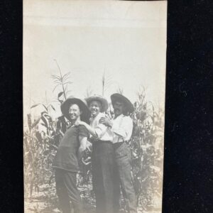 Three Men In A Cornfield RPPC Postcard