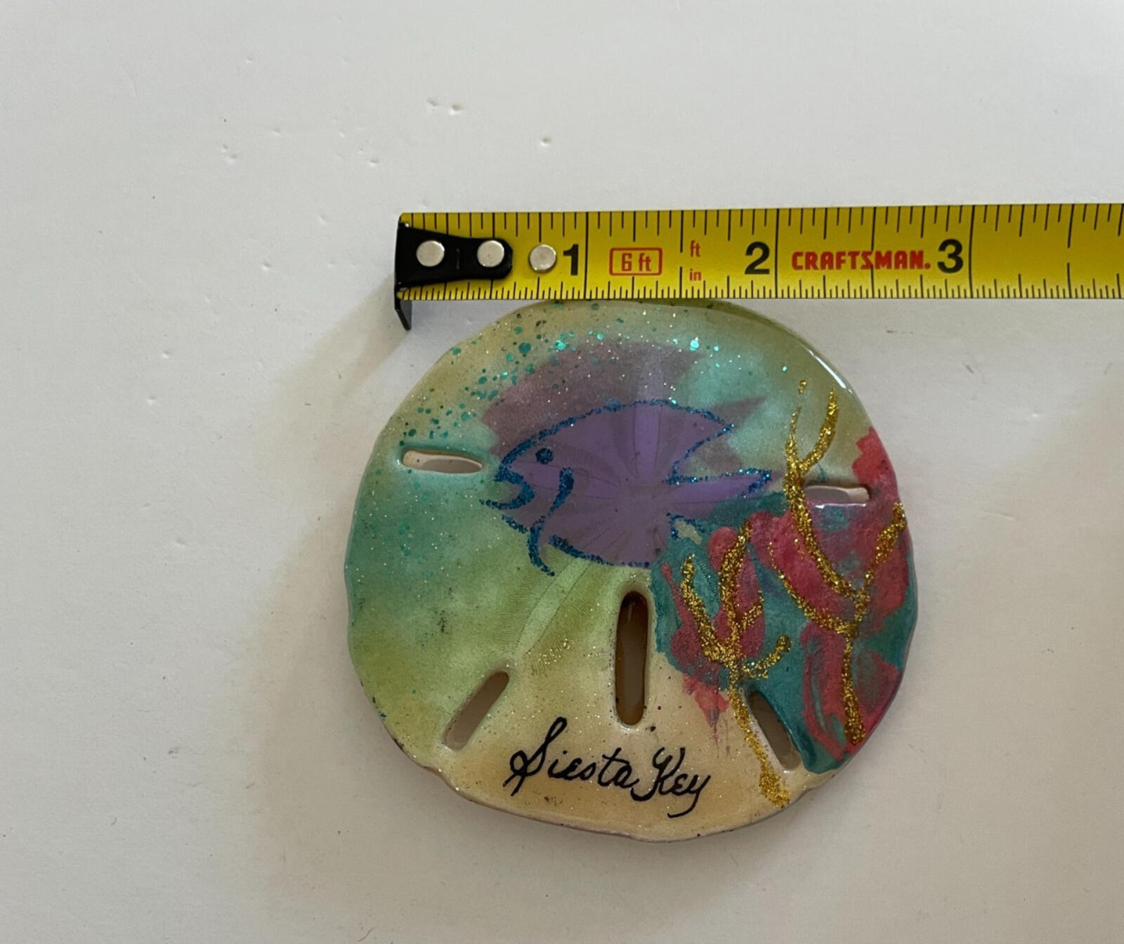 Siesta Key Painted Fish Sand Dollar Magnet - Image 3