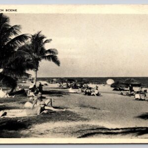 Florida Beach Scene Postcard